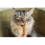 Snacks Latas y Pouches