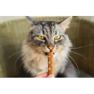 Snacks Latas y Pouches