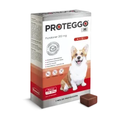 PROTEGGO 1 M 10 - 20 KG (1 TAB X CJA)